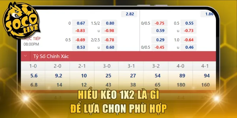 Hiểu kèo 1x2 là gì để lựa chọn phù hợp