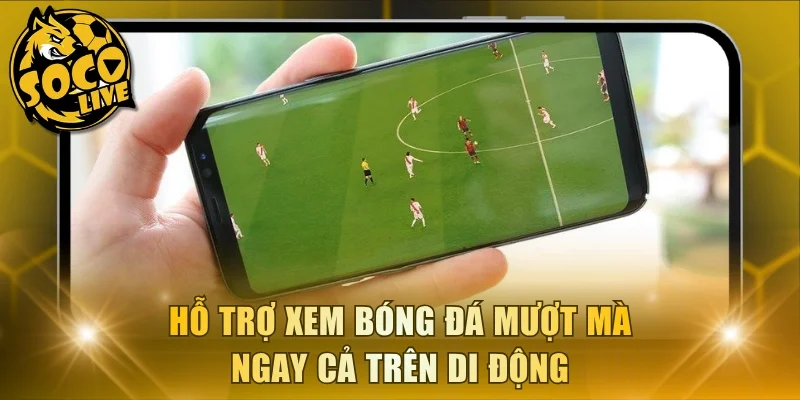 Hỗ trợ xem bóng đá mượt mà ngay cả trên di động