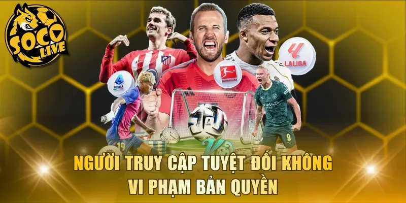 Người truy cập tuyệt đối không vi phạm bản quyền